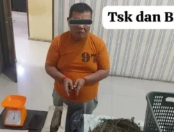 Bawa 1,5 Kilo Ganja, Polisi Tangkap Residivis Asal Tanah Karo