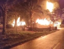 Keluhannya tak Didengar Polisi, Emak-Emak di Madina Bakar Rumah Terduga Bandar Narkoba