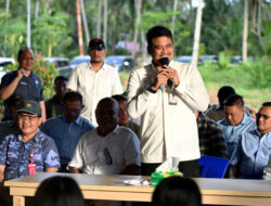 Gubernur Bobby Nasution Siapkan Rumah Produksi Kelapa di Nias Utara
