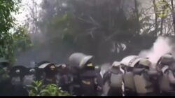Eksekusi Lahan di Labuhan Deli Memanas, Empat Polisi Terluka Akibat Lemparan Bom Molotov