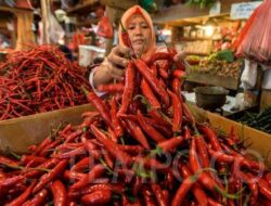 Harga Cabai Masih Tinggi, Warga Sejumlah Kabupaten di Sumut Mengeluh, TPID Sumut Diminta Jangan Hanya Fokus ke Medan